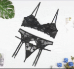 New Women Lingerie Set Lace Embroidery Push Up Bra Panties S - Image 2