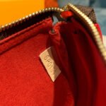 Louis Vuitton Paris Mini Pochette Accessoires N60259 - Image 9