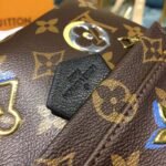 Louis Vuitton Monogram Canvas Palm Springs Backpack Mini M44367 - Image 9