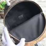 Louis Vuitton Monogram Canvas Palm Springs Backpack PM M43116 - Image 9