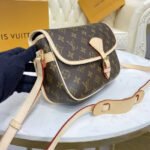 Louis Vuitton Monogram Sologne Shoulder Bag M42250 - Image 2