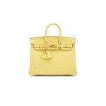HERM�S MASTER BIRKIN 25 OSTRICH GOOSE EGG YOLK GOLD BUCKLE H041944CK80 (25*20*13cm)