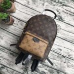 Louis Vuitton Monogram Canvas Palm Springs Backpack PM M43116 - Image 2