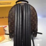 Louis Vuitton Monogram Canvas Palm Springs Backpack MM M41561 - Image 7