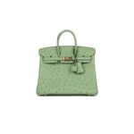 HERM�S MASTER BIRKIN 25 OSTRICH LEATHER MINT GREEN GOLD BUCKLE H041944CK87 (25*20*13cm)