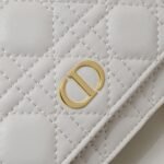 Ladies Fashion Chain Hand Crossbody Bag - Image 6