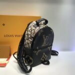 Louis Vuitton Palm Springs Backpack PM M44718 - Image 3
