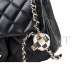 CHANEL 23C EARLY SPRING CROSSBODY BAGS AS1787 (20*12*6cm) - Image 5