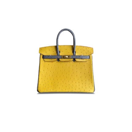 HERM�S MASTER BIRKIN 25 OSTRICH LEATHER AMBER YELLOW AND AGATE GREY GOLD BUCKLE H041944CK60 (25*20*13cm)