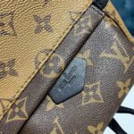 Louis Vuitton Monogram Canvas Palm Springs Backpack Mini M42411 - Image 6