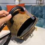 Louis Vuitton Monogram Canvas Palm Springs Backpack Mini M42411 - Image 10
