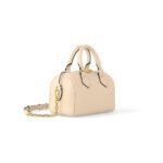 LOUIS VUITTON SPEEDY BANDOULI�RE 20 M58954 (21*13*12cm)