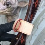 Louis Vuitton Transformed Monogram Canvas Paname Set M44399 - Image 16