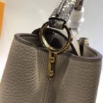 Louis Vuitton Taurillon Leather And Python Capucines MM N91711 - Image 7