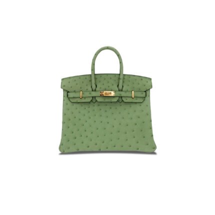 HERM�S MASTER BIRKIN 25 OSTRICH LEATHER ICE CREAM GREEN GOLD BUCKLE H041944CK76 (25*20*13cm)