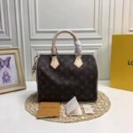 Louis Vuitton Monogram Canvas Speedy 25 M41109 - Image 2
