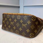 Louis Vuitton Hobo Dauphine PM M45194 - Image 11