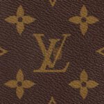 LOUIS VUITTON SPEEDY BANDOULI�RE 20 M46234 (21*13*12cm) - Image 8