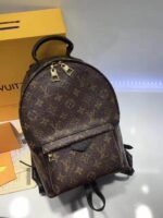 Louis Vuitton Monogram Canvas Palm Springs Backpack PM M41560 - Image 3