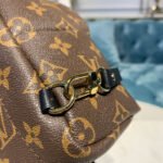 Louis Vuitton Monogram Canvas Palm Springs Backpack Mini M41562 - Image 8