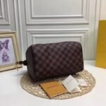 Louis Vuitton Damier Ebene Canvas Speedy 25 N41365 - Image 5