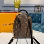 Louis Vuitton Monogram Canvas Palm Springs Backpack Mini M41562 - Image 4