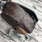 Louis Vuitton Monogram Canvas Palm Springs Backpack PM M43116 - Image 4