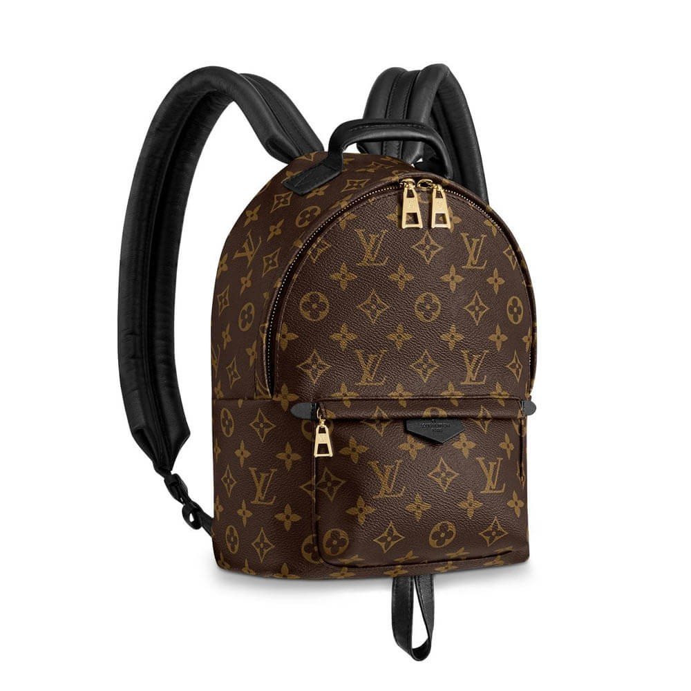 9653d7064e3506b1d12a2c2dad909f98459512d6 Louis Vuitton Monogram Canvas Palm Springs Backpack PM M41560 - Image 1