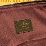 Louis Vuitton Damier Ebene Canvas Iéna MM N41013 - Image 9