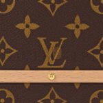 LOUIS VUITTON HANDLE TRUNK MONOGRAM M11118 (24*17*8cm) - Image 5