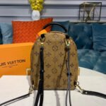 Louis Vuitton Monogram Canvas Palm Springs Backpack Mini M42411 - Image 4