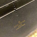 Louis Vuitton Bumbag Dauphine M53228 - Image 7