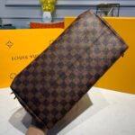 Louis Vuitton Damier Ebene Canvas Iéna MM N41013 - Image 5