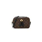 LOUIS VUITTON MONOGRAM SAINTONGE BLACK M43555 (22*16*8cm)