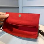 Louis Vuitton Damier Ebene Canvas Recital Shoulder Bag N41966 - Image 9