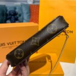 Louis Vuitton Courchevel Mini Pochette Accessoires M68490 - Image 5