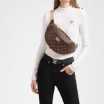Louis Vuitton M43644 Bumbag - Image 2