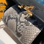 Louis Vuitton Taurillon And Python Leather Capucines Mini N97075 - Image 5