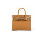 HERM�S MASTER BIRKIN 25 CROCODILE AND TOGO LEATHER GOLDEN BROWN SILVER BUCKLE H076216CK44 (25*20*13cm)