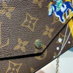 Louis Vuitton Troy Print Pochette Felicie M61276 - Image 6