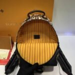 Louis Vuitton Palm Springs Backpack PM M44718 - Image 9