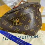 Louis Vuitton Monogram Canvas Bumbag M43644 - Image 5
