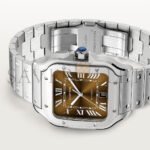 CARTIER SANTOS DE CARTIER WATCH WSSA0064 - Image 4