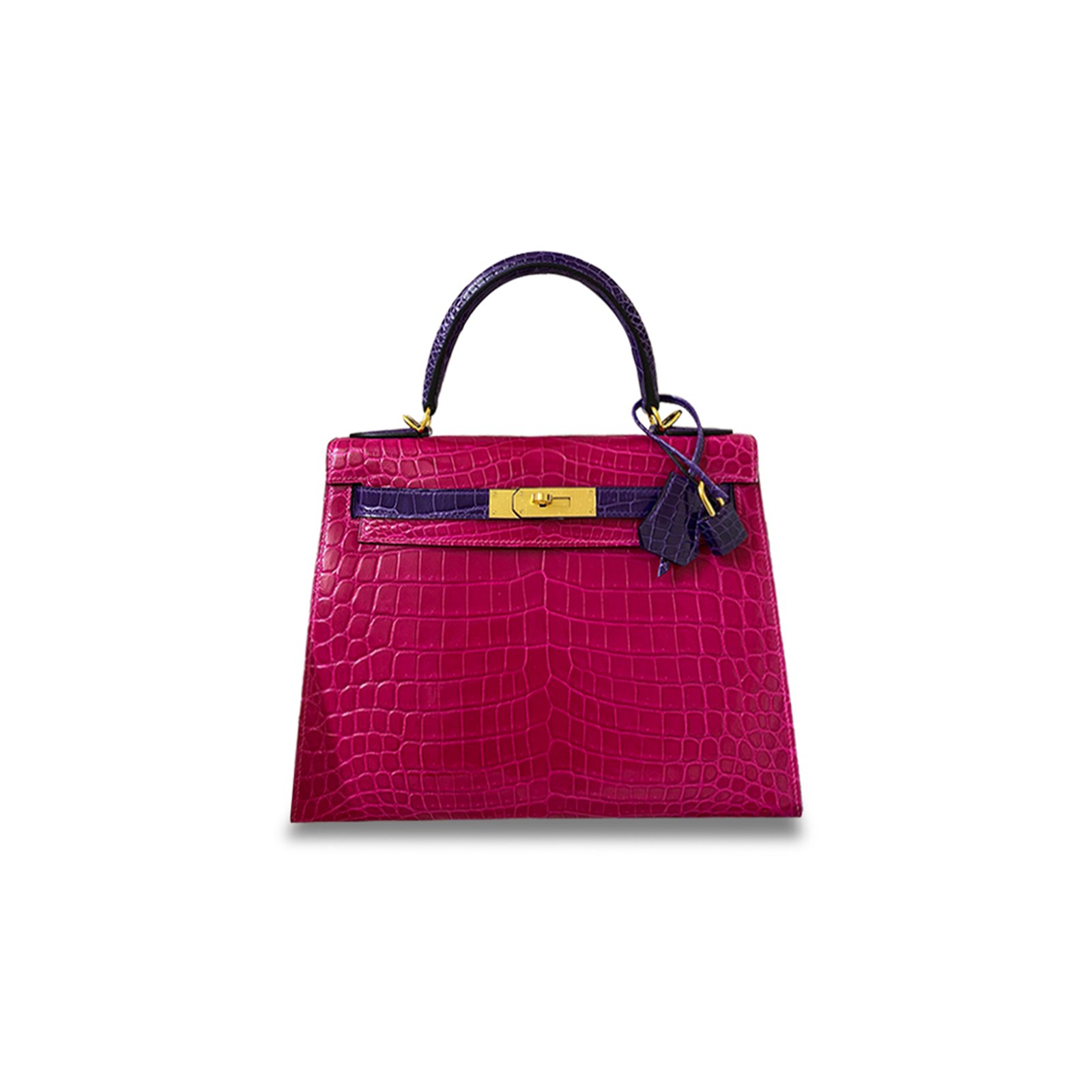 c6bdc7aae01e7d9841395da6af581aaeb7623ed3 HERM�S MASTER SHINY ROSE SCH�H�RAZADE & BLEU �LECTRIQUE ALLIGATOR SELLIER KELLY 25 WITH GOLD HARDWARE (28*22*10cm) - Image 1