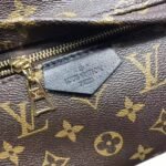 Louis Vuitton Monogram Canvas Palm Springs Backpack MM M41561 - Image 4