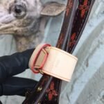 Louis Vuitton Transformed Monogram Canvas Paname Set M44399 - Image 7