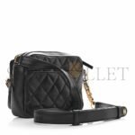CHANEL CALFSKIN QUILTED SMALL CAMERA CASE BLACK AS2933 (20.5*14.5*9cm) - Image 3
