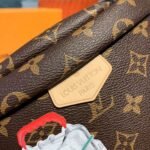Louis Vuitton Monogram Canvas Bumbag M43644 My LV World Tour - Image 4