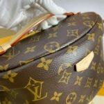 Louis Vuitton Monogram Canvas Bumbag M43644 - Image 6
