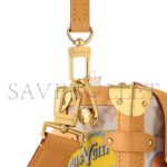 LOUIS VUITTON SIDE TRUNK MM M14606 (24*16*8cm) - Image 5